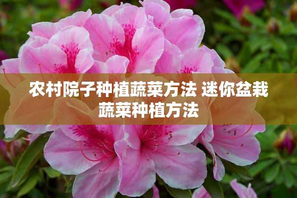 农村院子种植蔬菜方法 迷你盆栽蔬菜种植方法