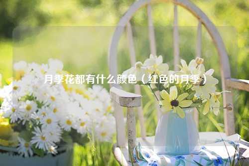 月季花都有什么颜色（红色的月季） 花卉