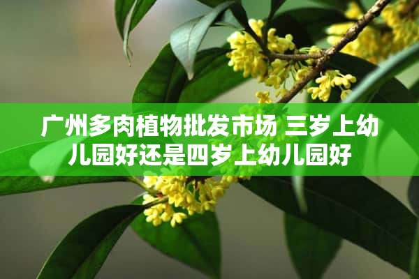 广州多肉植物批发市场 三岁上幼儿园好还是四岁上幼儿园好