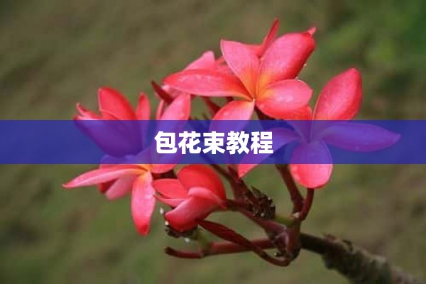 包花束教程