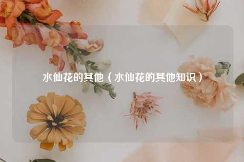 水仙花的其他（水仙花的其他知识）