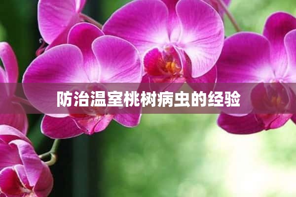 防治温室桃树病虫的经验