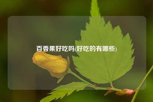 百香果好吃吗