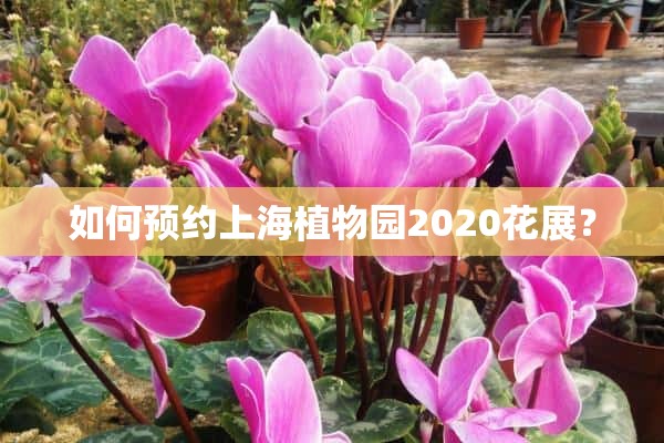 如何预约上海植物园2020花展？