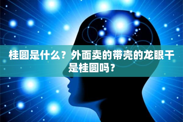 桂圆是什么？外面卖的带壳的龙眼干是桂圆吗？