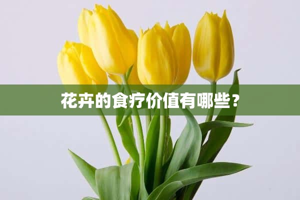 花卉的食疗价值有哪些？