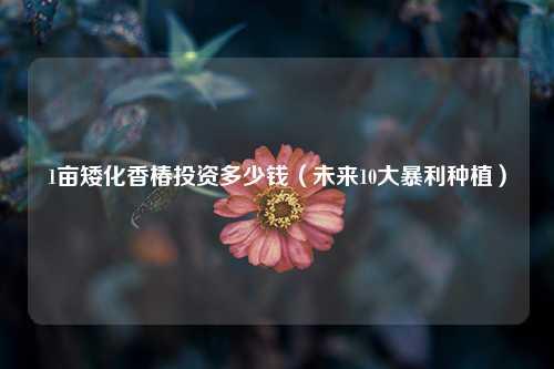 1亩矮化香椿投资多少钱（未来10大暴利种植） 花卉