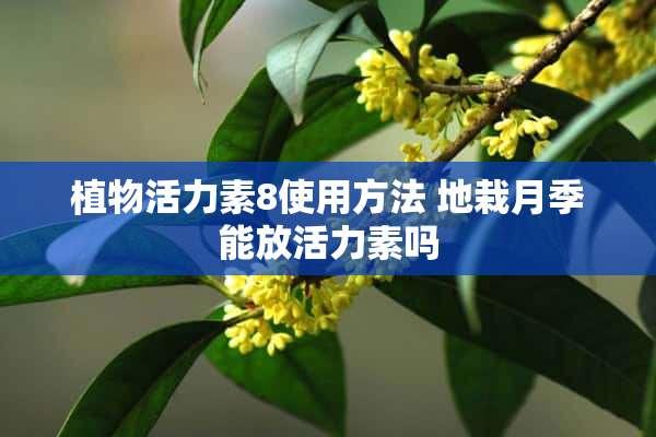 植物活力素8使用方法 地栽月季能放活力素吗