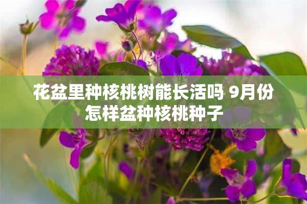 花盆里种核桃树能长活吗 9月份怎样盆种核桃种子