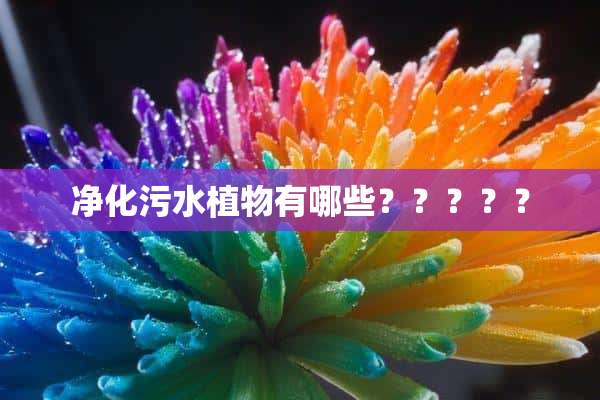 净化污水植物有哪些？？？？？