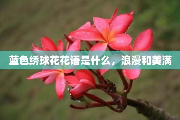 蓝色绣球花花语是什么，浪漫和美满