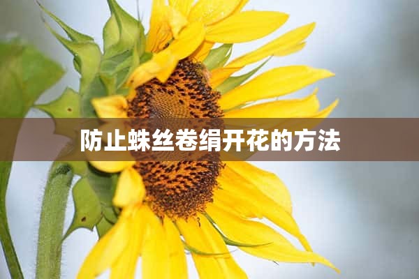 防止蛛丝卷绢开花的方法