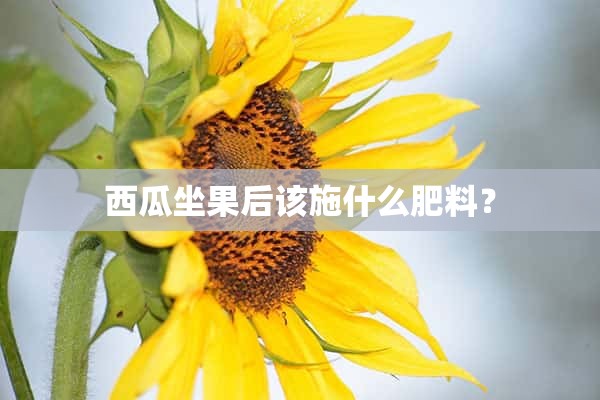 西瓜坐果后该施什么肥料？