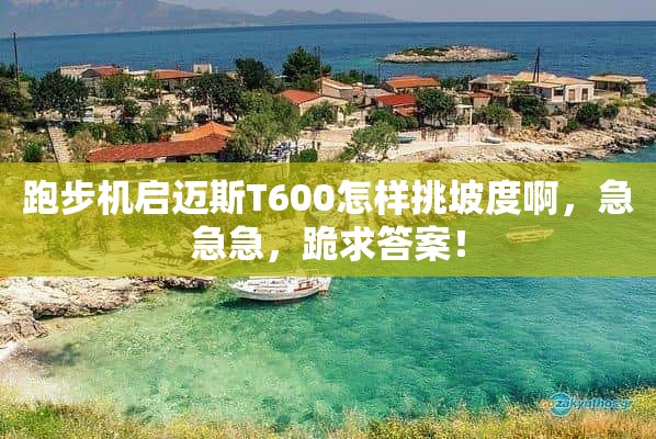 跑步机启迈斯T600怎样挑坡度啊，急急急，跪求答案！