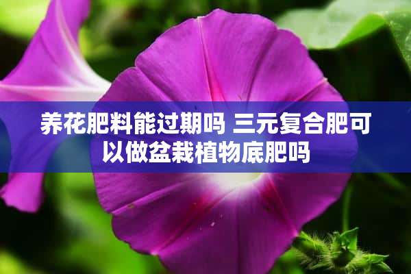 养花肥料能过期吗 三元复合肥可以做盆栽植物底肥吗