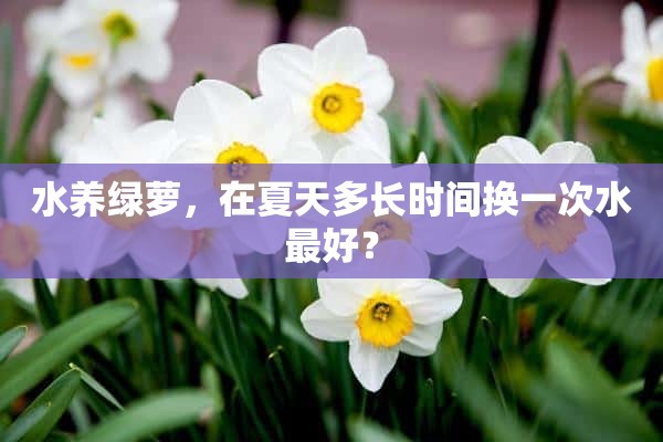 水养绿萝，在夏天多长时间换一次水最好？