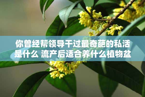 你曾经帮领导干过最奇葩的私活是什么 流产后适合养什么植物盆栽