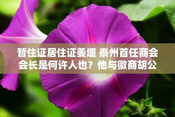 暂住证居住证姜堰 泰州首任商会会长是何许人也？他与徽商胡公是什么关系