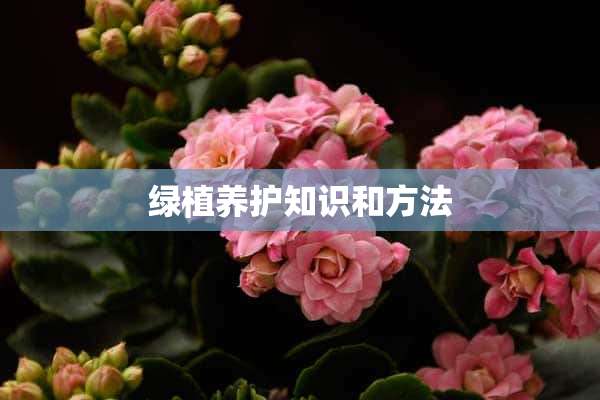 绿植养护知识和方法