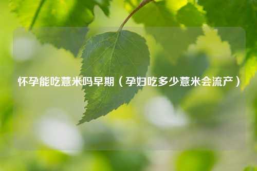 怀孕能吃薏米吗早期（孕妇吃多少薏米会流产） 花卉