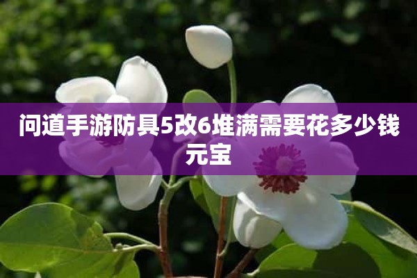 问道手游防具5改6堆满需要花多少钱元宝