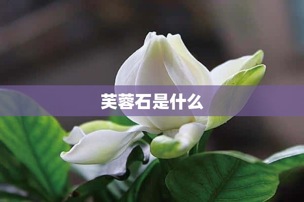 芙蓉石是什么