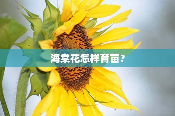 海棠花怎样育苗？