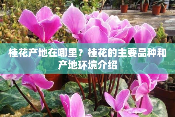 桂花产地在哪里？桂花的主要品种和产地环境介绍