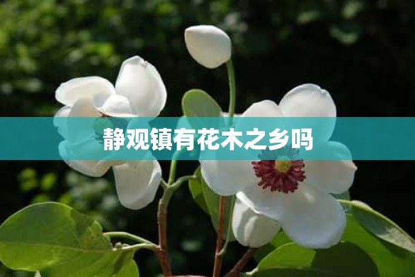 静观镇有花木之乡吗