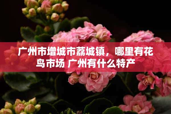 广州市增城市荔城镇，哪里有花鸟市场 广州有什么特产