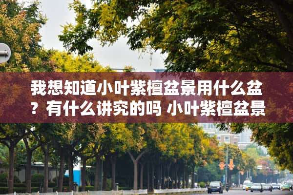 我想知道小叶紫檀盆景用什么盆？有什么讲究的吗 小叶紫檀盆景可以放卧室吗