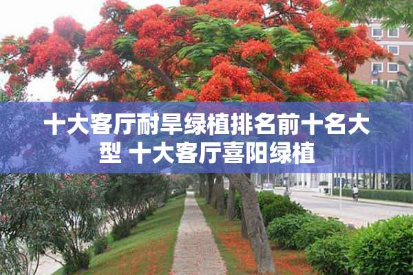 十大客厅耐旱绿植排名前十名大型 十大客厅喜阳绿植