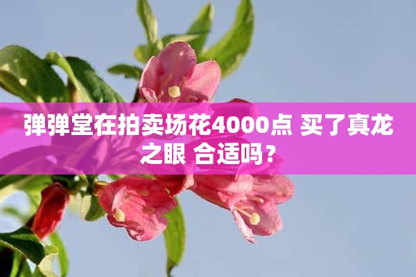 弹弹堂在拍卖场花4000点 买了真龙之眼 合适吗？