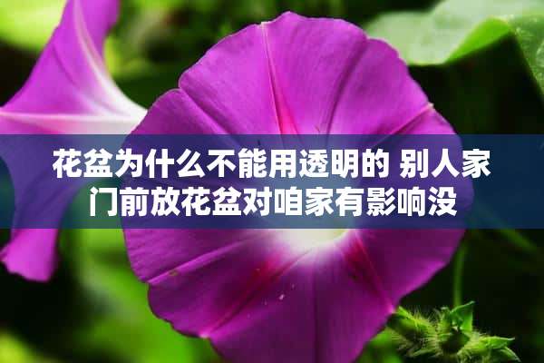 花盆为什么不能用透明的 别人家门前放花盆对咱家有影响没