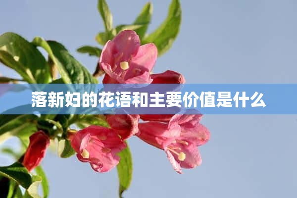 落新妇的花语和主要价值是什么