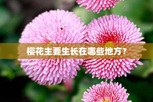 樱花主要生长在哪些地方？