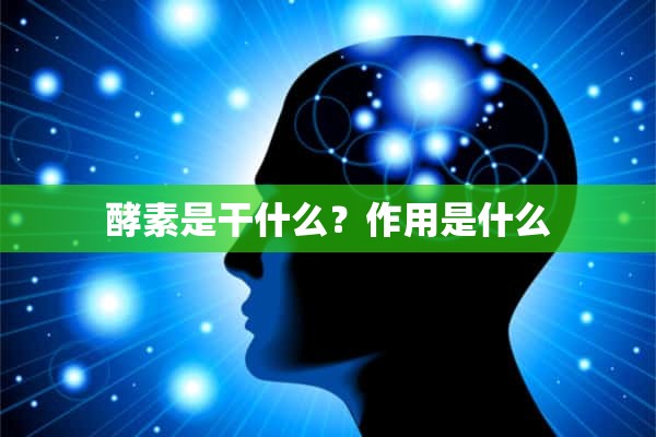 酵素是干什么？作用是什么