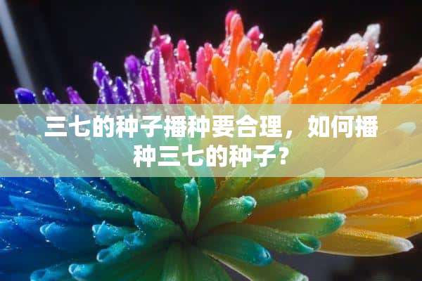 三七的种子播种要合理，如何播种三七的种子？