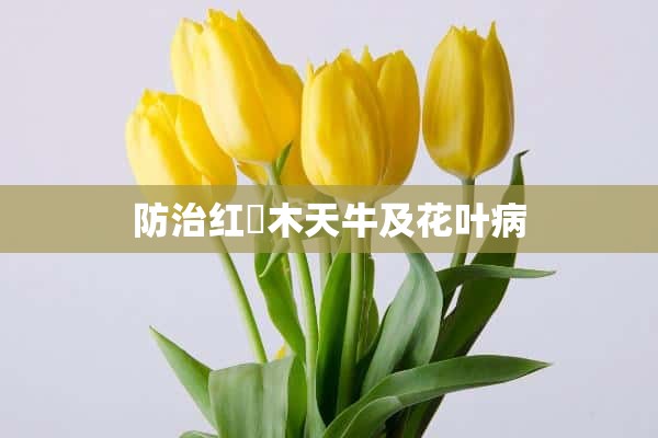 防治红檵木天牛及花叶病