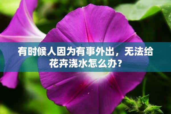 有时候人因为有事外出，无法给花卉浇水怎么办？