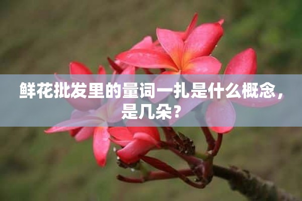 鲜花批发里的量词一扎是什么概念，是几朵？