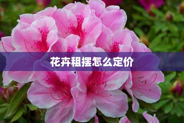 花卉租摆怎么定价