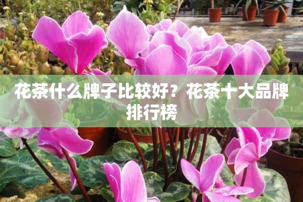 花茶什么牌子比较好？花茶十大品牌排行榜