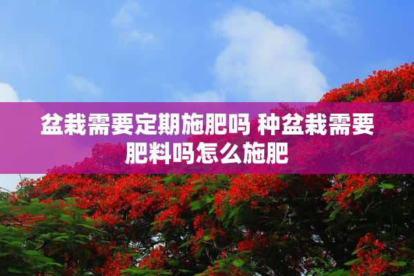 盆栽需要定期施肥吗 种盆栽需要肥料吗怎么施肥