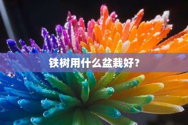 铁树用什么盆栽好？