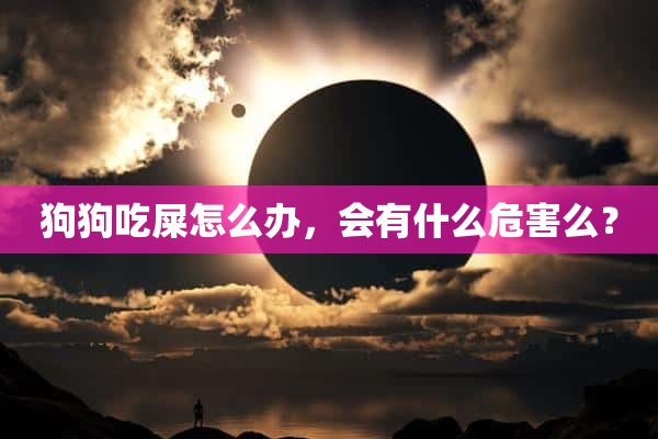 狗狗吃屎怎么办，会有什么危害么？