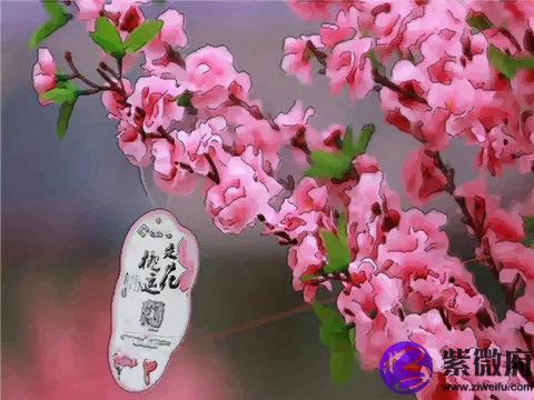 种什么可以招桃花