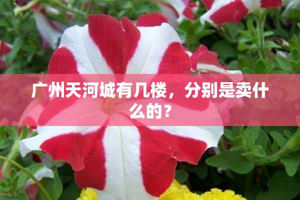 广州天河城有几楼，分别是卖什么的？