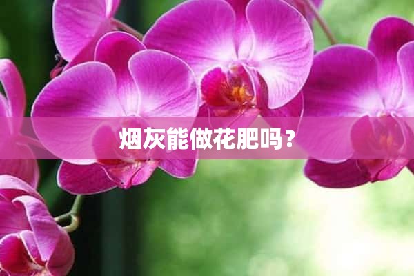 烟灰能做花肥吗？