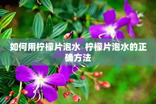 如何用柠檬片泡水  柠檬片泡水的正确方法